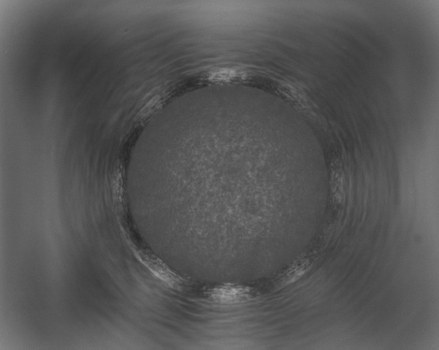 X0000058760375200510031025