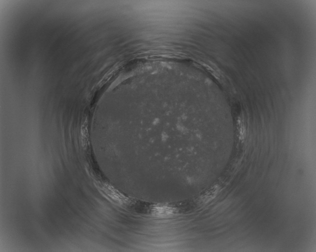 X0000058760376200510031025