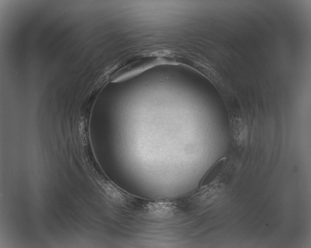 X0000058760378200510031025