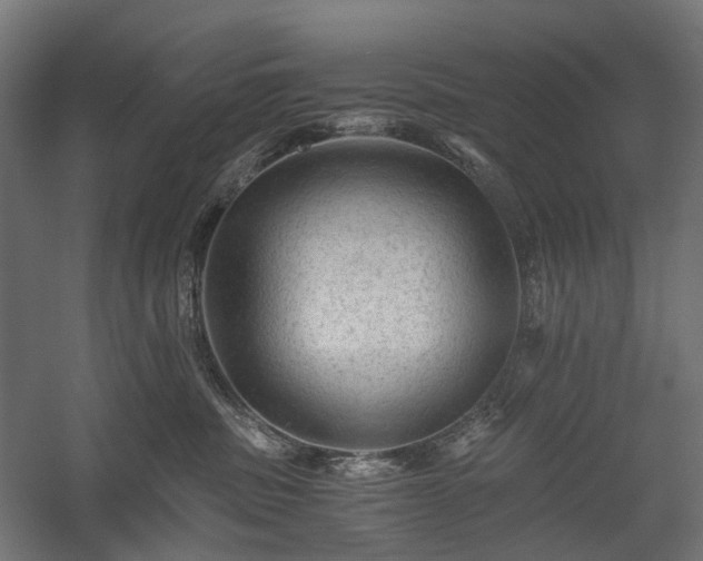 X0000058760379200510031025