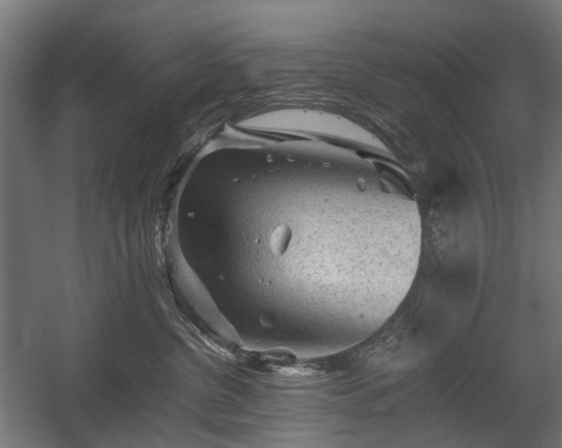 X0000058760380200510031025