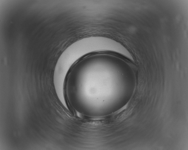 X0000058760384200510031025