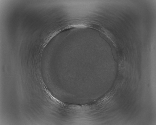 X0000058760385200510031024