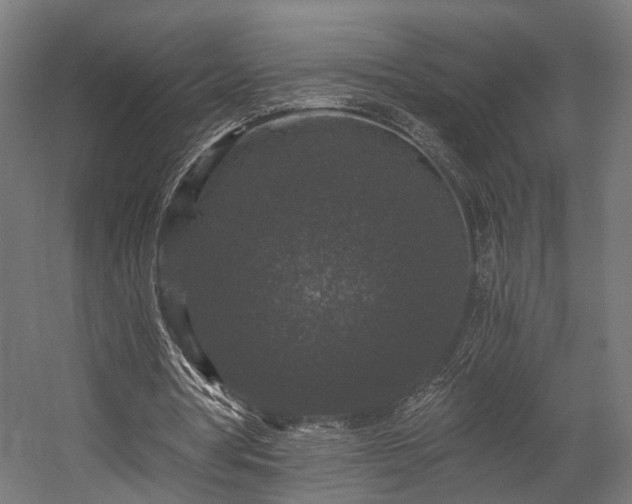 X0000058760386200510031024