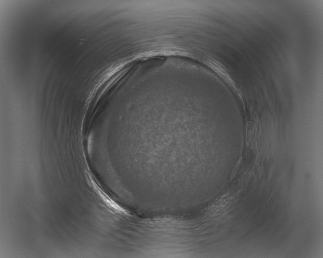 X0000058760389200510031024