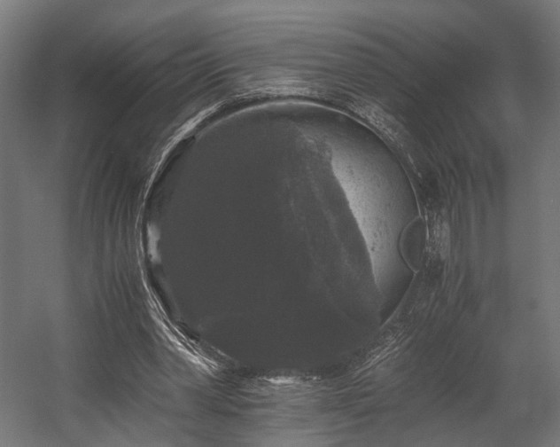 X0000058760390200510031024