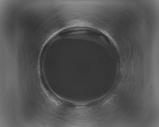 X0000058760391200510031024