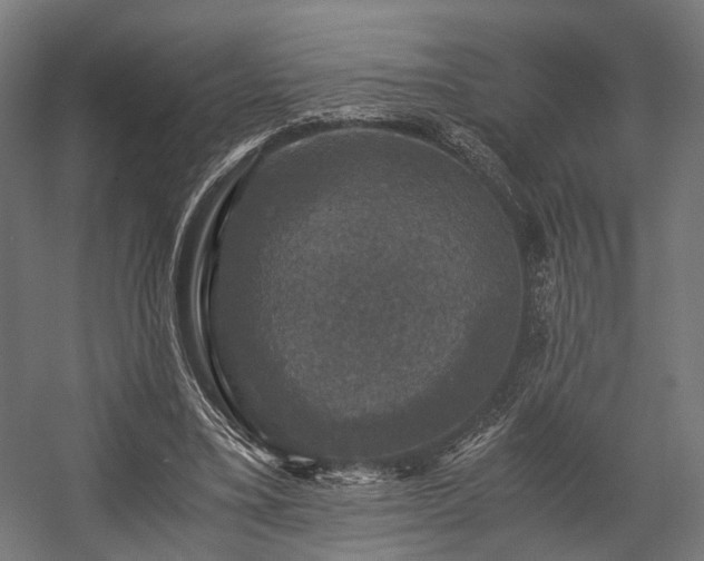 X0000058760395200510031024
