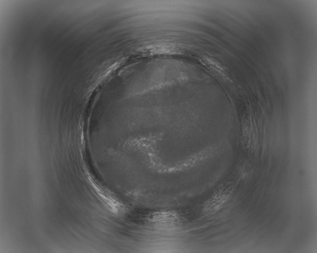 X0000058760398200510031024