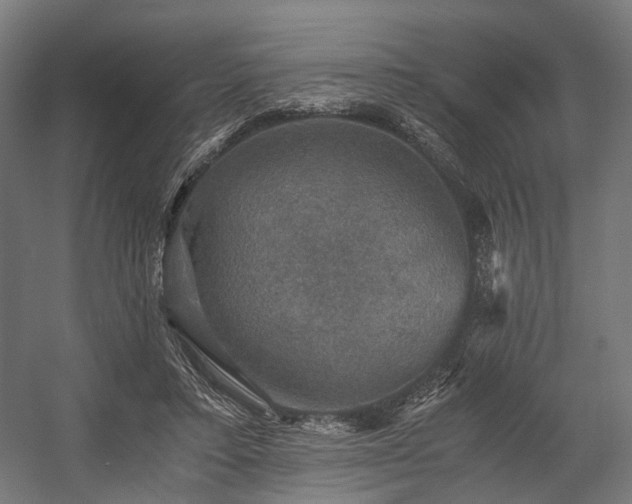 X0000058760403200510031024