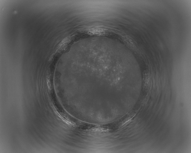 X0000058760408200510031024
