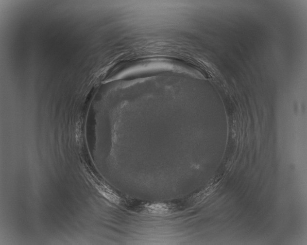 X0000058760409200510031024