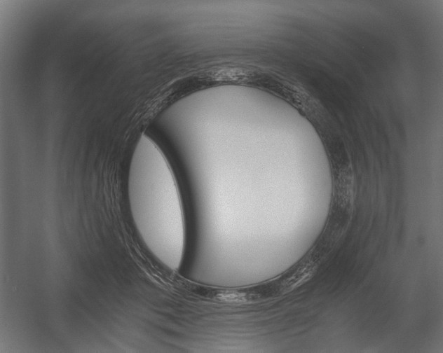 X0000058760413200510031024