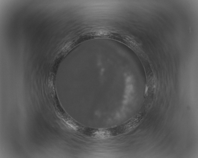 X0000058760415200510031024