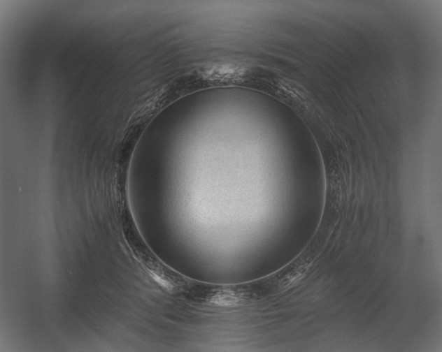 X0000058760416200510031024