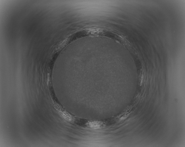 X0000058760417200510031024