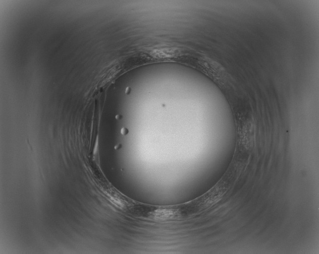 X0000058760418200510031024