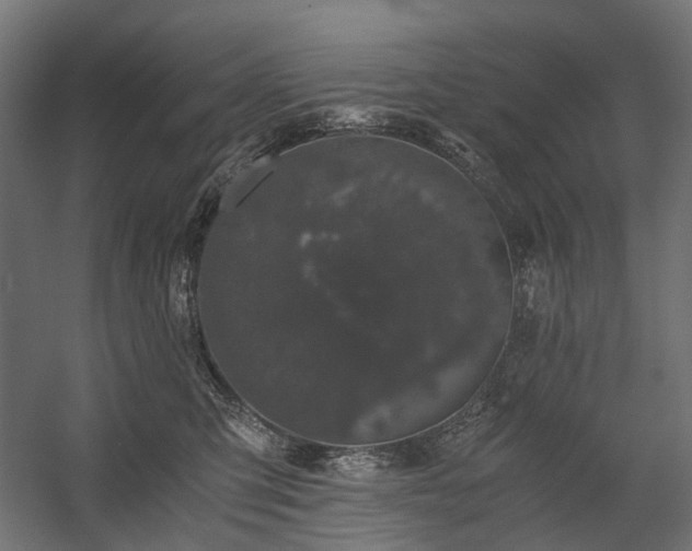 X0000058760423200510031024