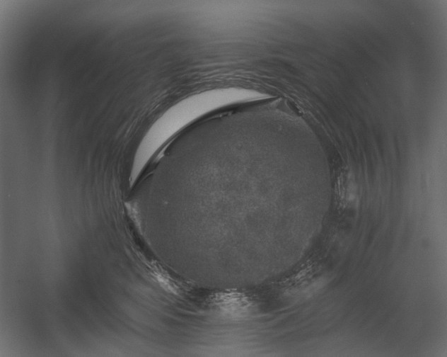 X0000058760424200510031024