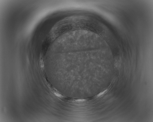 X0000058760431200510031024