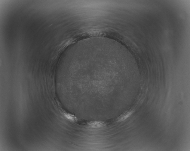 X0000058760432200510031024
