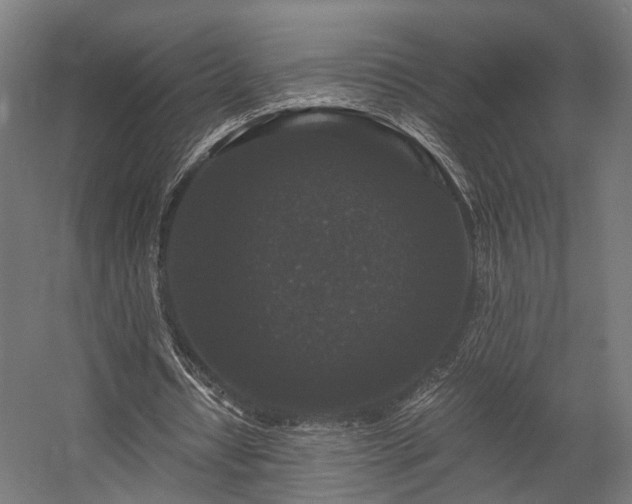 X0000058760434200510031023