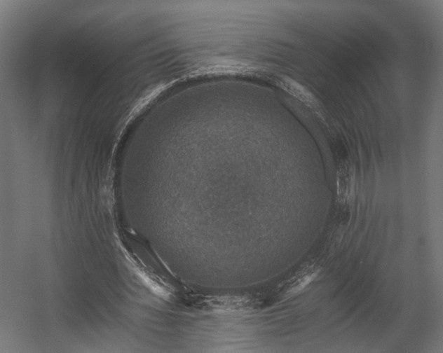 X0000058760436200510031023