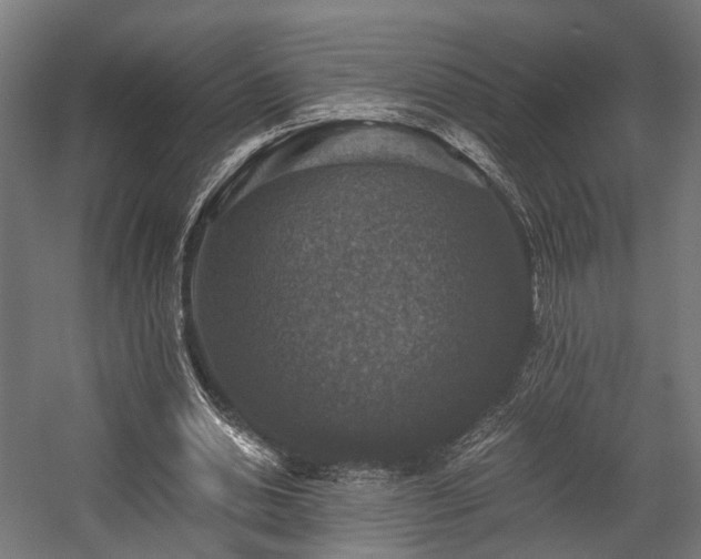 X0000058760438200510031023
