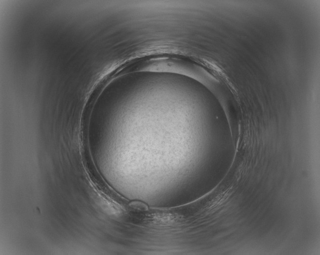 X0000058760439200510031023