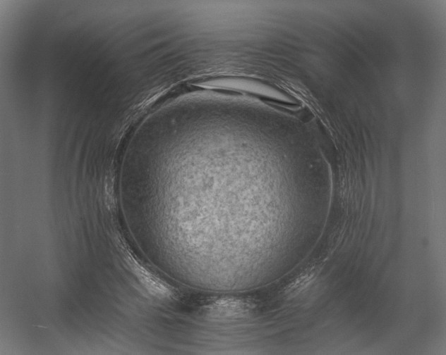 X0000058760441200510031023