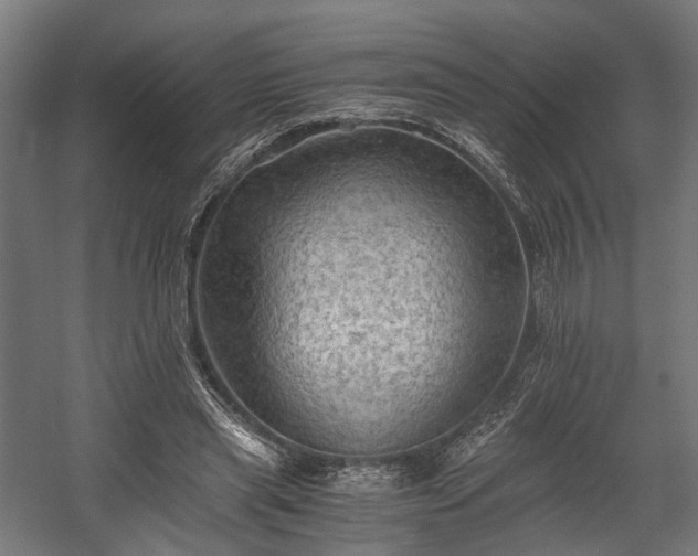 X0000058760445200510031023