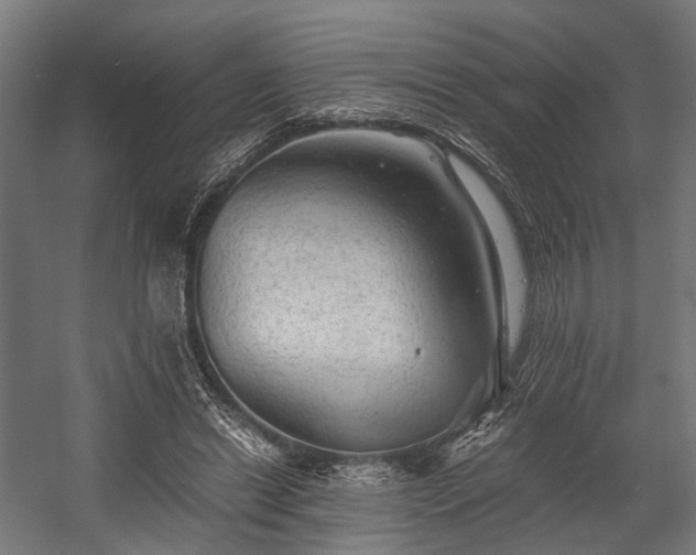 X0000058760446200510031023