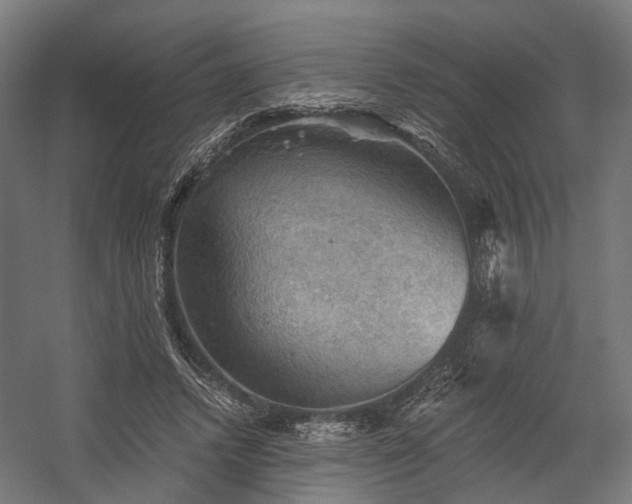 X0000058760448200510031023