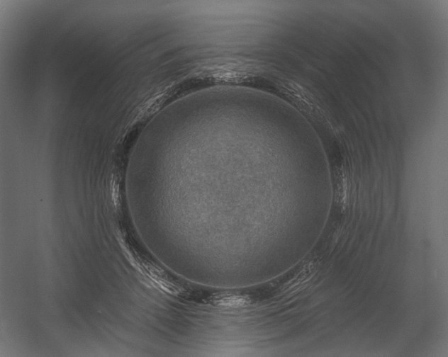 X0000058760456200510031023