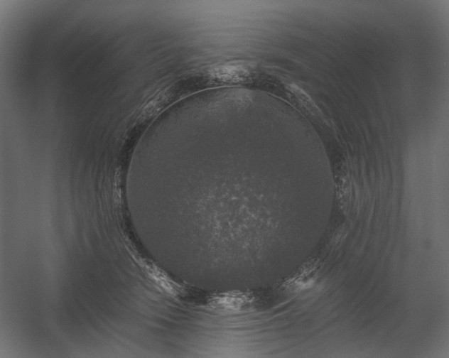 X0000058760466200510031023