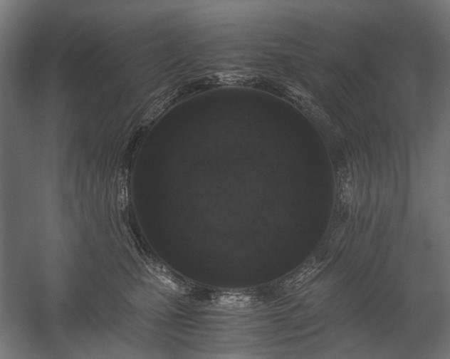 X0000058760471200510031023