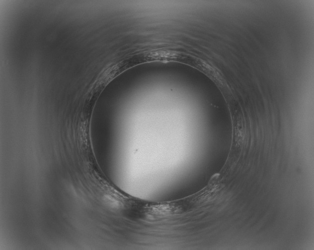 X0000058760473200510031024