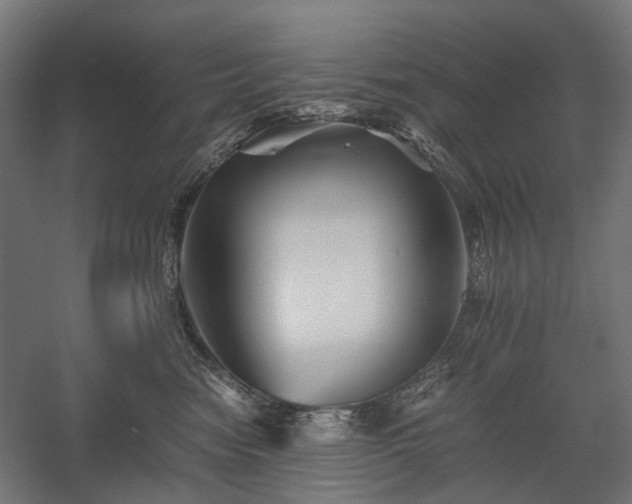 X0000058760474200510031024