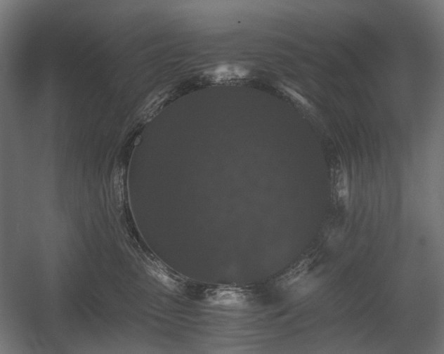 X0000058760475200510031024