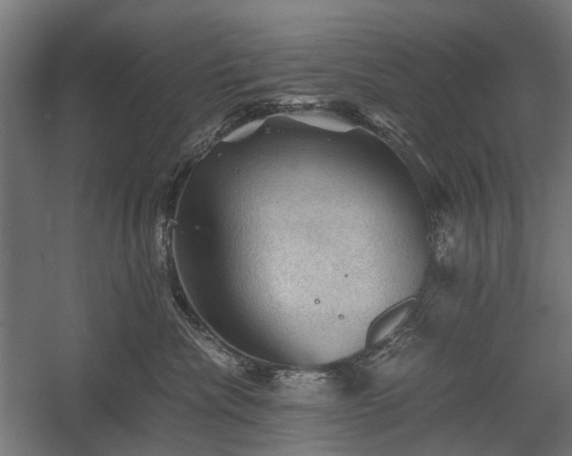 X0000058760476200510031024