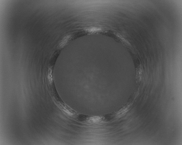 X0000058760479200510031024