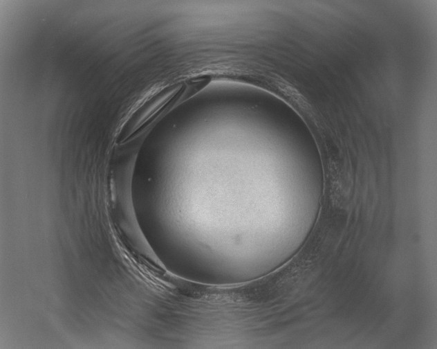 X0000058760482200510031023