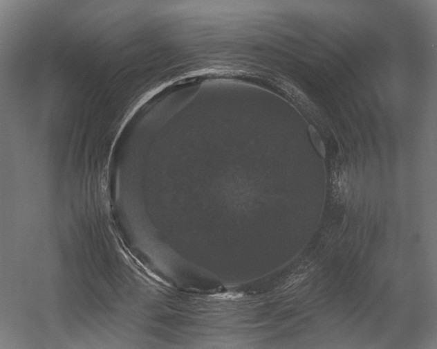 X0000058760484200510031023