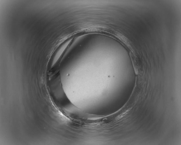 X0000058760485200510031023