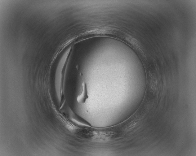 X0000058760486200510031023