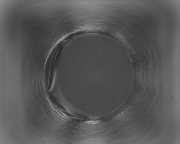 X0000058760488200510031023