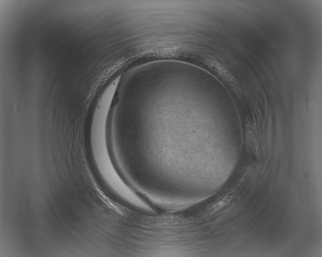 X0000058760493200510031023