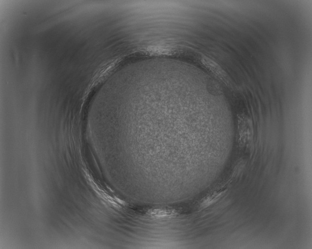 X0000058760494200510031023