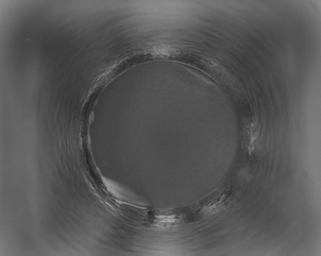 X0000058760496200510031023
