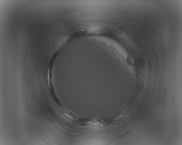 X0000058760502200510031022